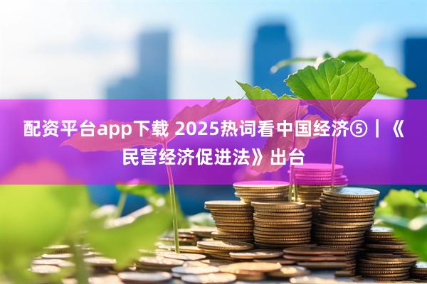 配资平台app下载 2025热词看中国经济⑤｜《民营经济促进法》出台