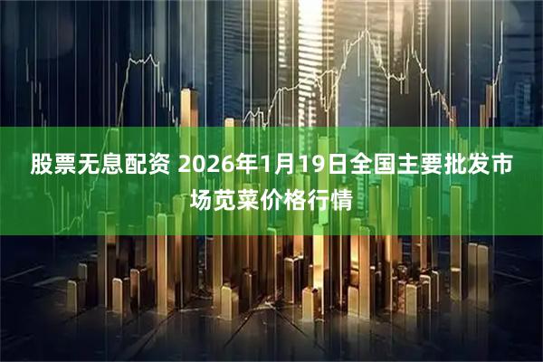 股票无息配资 2026年1月19日全国主要批发市场苋菜价格行情