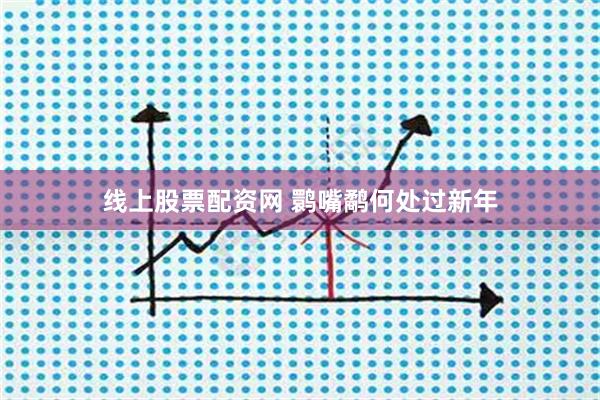 线上股票配资网 鹮嘴鹬何处过新年